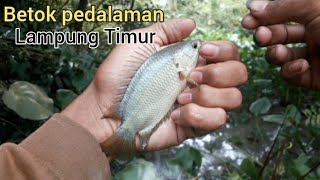 Mancing Ikan Betok / Papuyu Di Pedalaman Lampung Timur