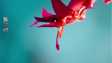 Uninstall &Remove KOPLAYER Pro from PC