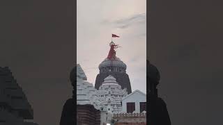 ଜୟ ଜଗନ୍ନାଥ 🙏🙏 #jagannath #puri #viral #trending #youtubeshorts #odisha