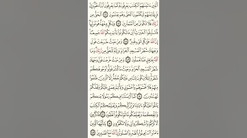 سورة البقرة من ايه 142 الى ايه 163 تلاوة مميز للشيخ مشاري العفاسي