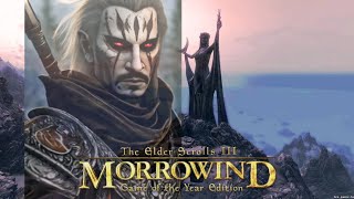 The Elder Scrolls III: Morrowind. 