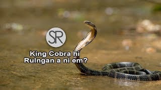 SR : King Cobra Hi Rulngan A Ni Em? | Rulnagn A Kak Thin Em?