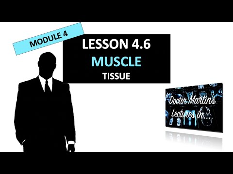 Module 4.6