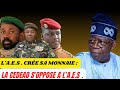 🇨🇮 L'AES CRÉE SA MONNAIE ; LA CEDEAO S'OPPOSE 🇨🇮
