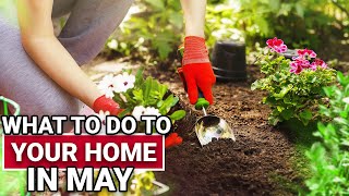 What To Do To Your Home In May - Ace Hardware