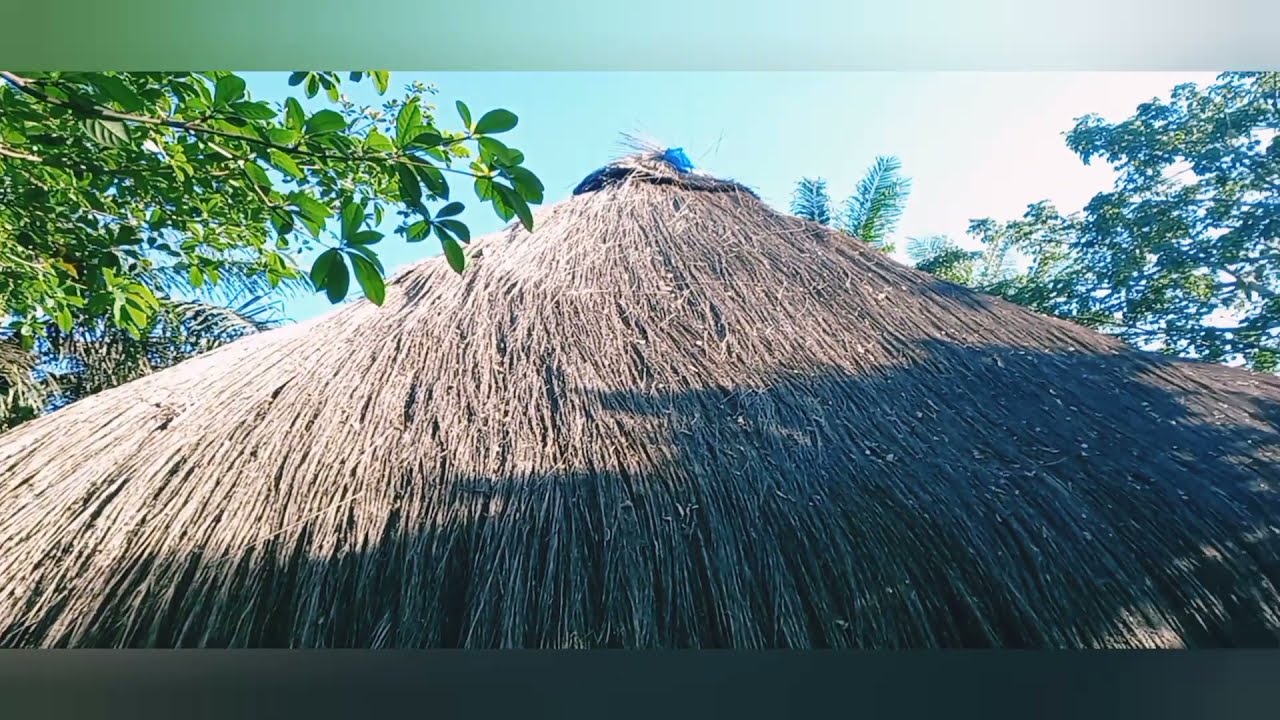 Ponta Anchaca,Rubane. Bijagos Islands (Guine Bissau). 1/2