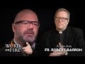 Bishop Barron on Andrew Sullivan's Non-Threatening Jesus