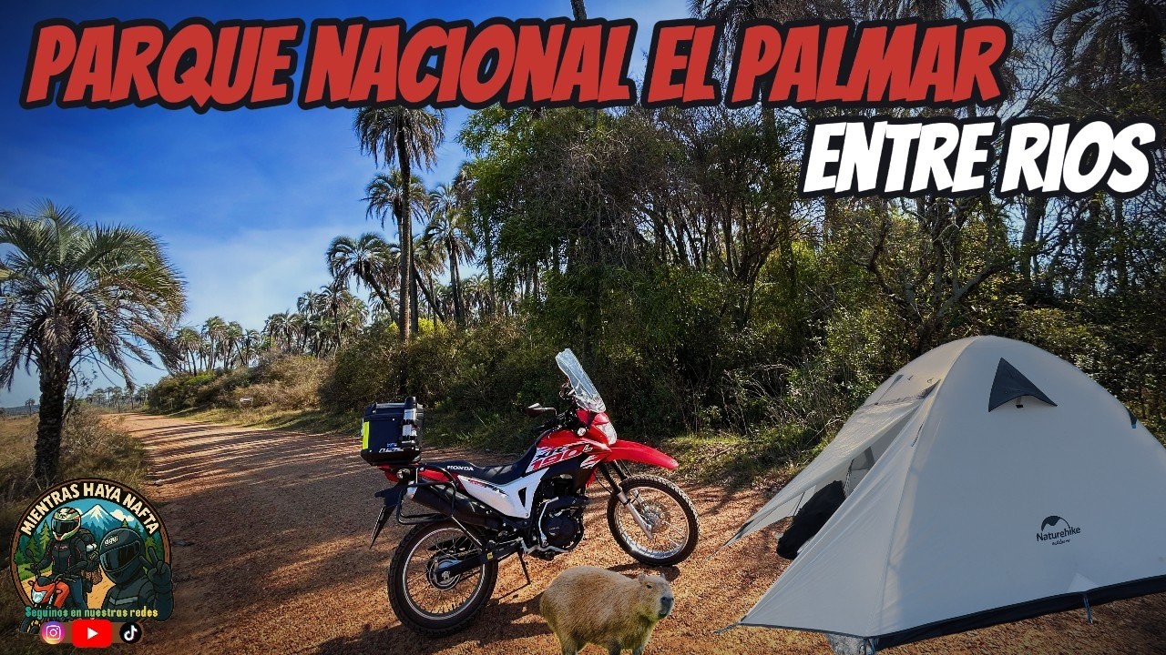 MOTO ACAMPE en el PARQUE NACIONAL EL PALMAR🏕️🌴 || viaje a ENTRE RIOS🛣️🏍️