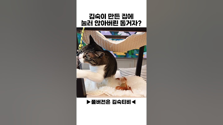 집도 선물하는 큰손 김숙