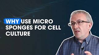 Why Use Micro Sponges For Cell Culture