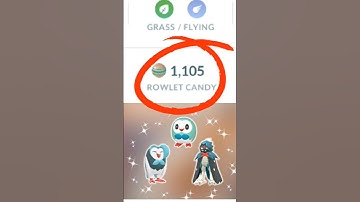 Evolving Shiny Rowlet with 1000+ Evolve Candies #pokemongo #evolution #shorts #shiny #shinyevolution