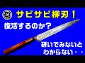 サビサビの柳刃は復活するのか？？　＠TOGITOGI動画