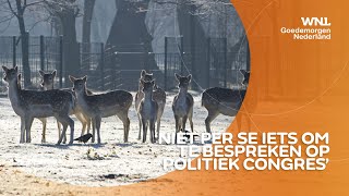 VVD'ers doen ultieme poging om hertenkampen te redden: 'Bizar dat herten straks niet meer mogen'