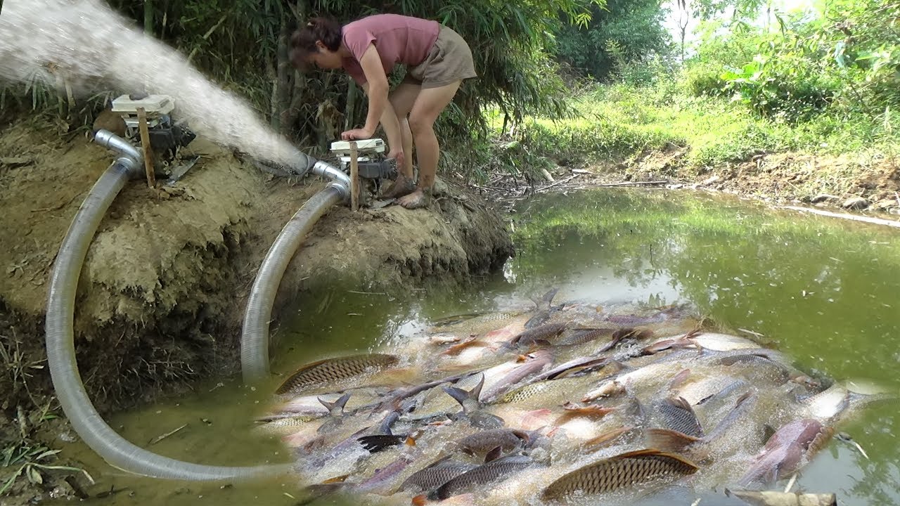 TOP Video Fishing: Fishing Technology Use A Large Capacity Pump Catch ...