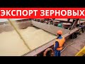 Россия увеличила пошлины на экспорт зерновых.