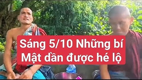 Sáng 5/10 những bí mật dần được hé lộ#suminhtue #thichminhtue