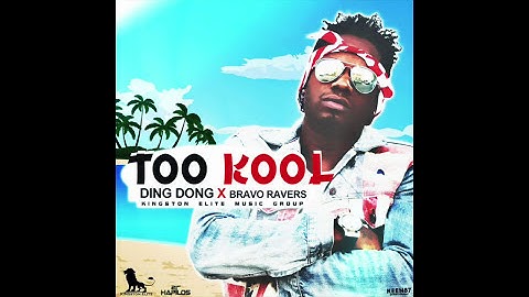 Ding Dong Too Kool feat  Bravo Ravers 2016 High Quality