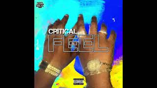 Critical - Feel  Resimi