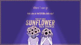 sunflower-rex orange county