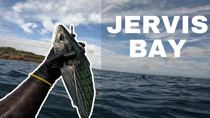 RAW SERIES -  Ghost spearfishing Jervis Bay primal adventures