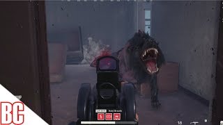 Fear The Wolves - The Best Battle Royale?