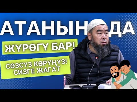 Video: Конок бөлмөсүндөгү бар эсептегич: дизайн сүрөтү