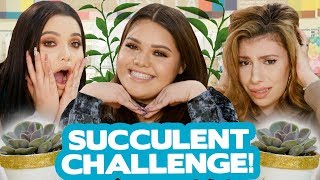 DIY SUCCULENT DECOR CHALLENGE?! w/ Karina Garcia, MayraTouchOfGlam & Julia Gilman