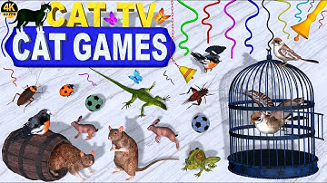 CAT GAMES | BEST VIDEO FOR CATS TO WATCH – ULTIMATE ENTERTAINMENT FOR FELINE FRIENDS 🐱 CAT TV 4K