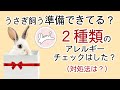 うさぎ　飼う前に確認しておくこと！うさ活４