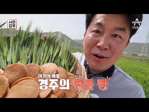 경주 명물 <strong>찰보리빵</strong> 맛의 비밀 | 서민갑부 435 회