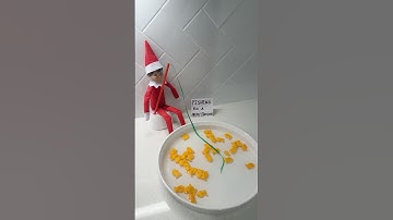 Elf On The Shelf Ideas #elfontheshelf  #newyear #kids #diy #howto