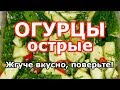 Рецепт острых огурцов. 🔥 Не по-корейски, но также жгуче вкусно!