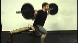 Single Leg Squat Oscillatory Reactive