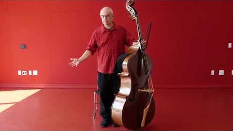 Symphony 101: Why is it called a double bass?