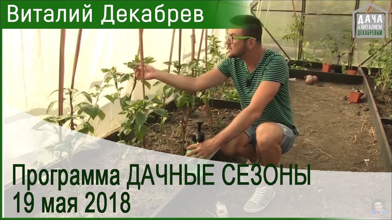 Дачные сезоны с Виталием Декабревым. 19 мая 2018 (104)