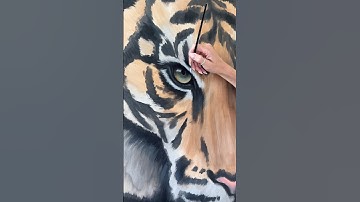 The beginning of my tiger painting from 2023 #tiger #painting #acrylic #originalart  #wildlifeart