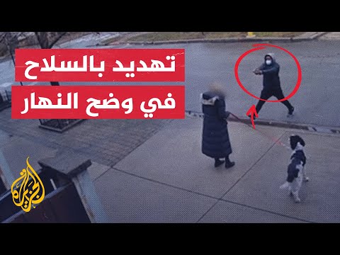 شاهد| سيدة تتعرض للسرقة أثناء تجولها مع كلبها في مدينة شيكاغو الأمريكية