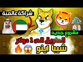 عملة شيبا اينو ليست عملة ميم بعد اليوم  دولة الامارات تبدأ بالشراء   مشروع جديد على سولانا دندنها