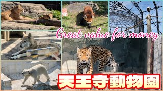 【天王寺動物園】1コインで得られる圧倒的癒やしの空間。An overwhelmingly relaxing space available for just one coin.