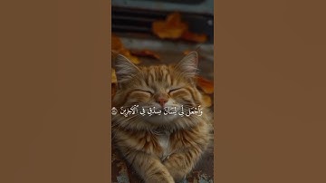 قرآن كريم الشيخ محمد اللحيدان الشيخ ياسر الدوسري صلوا على النبي (1)