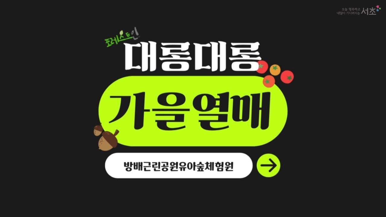 [서초구] 대롱대롱 가을 열매 - YouTube