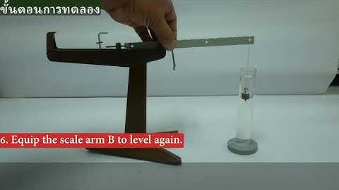 Experiment M9 Specific Gravity Balance -SC501003 Gen.Phys.Lab. I (EN-Inter)