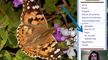 How to create a species distribution map