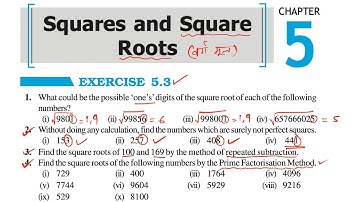 Class 8 Maths Ex. 5.3 Complete Solution | Chapter 5: Squares and Square Roots (English & Hindi)