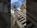 मोटी प्लेटों को वेल्डिंग करने का सबसे मजबूत तरीका | Heavy Plate Welding Technique"#amar welding