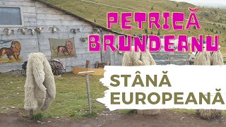 Petrică Brundeanu - Am stână europeană chords