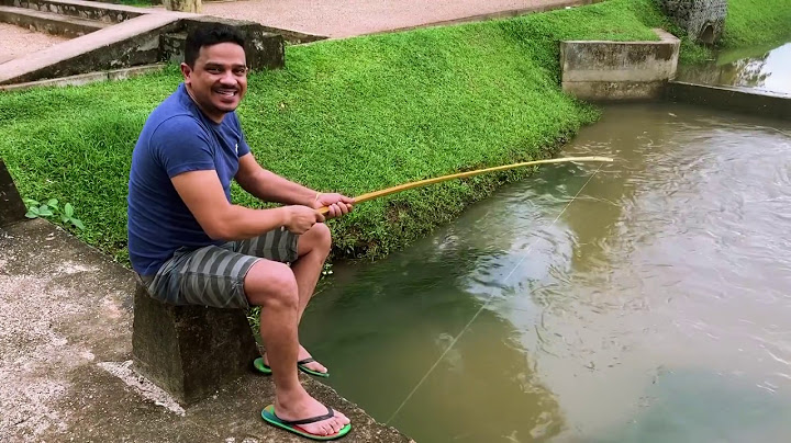 Janai Priyai - Kata |කට...