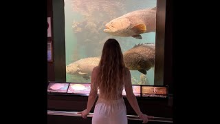 :   Phuket Aquaria