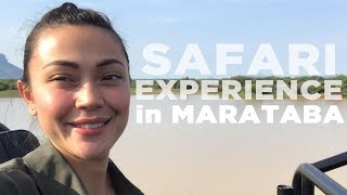 Safari Experience in Marataba | Jodi Sta Maria