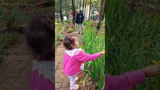 Untuk bungamu - M Mashabi